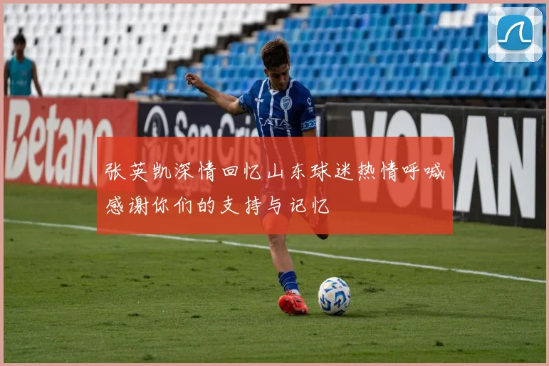张英凯深情回忆山东球迷热情呼喊感谢你们的支持与记忆