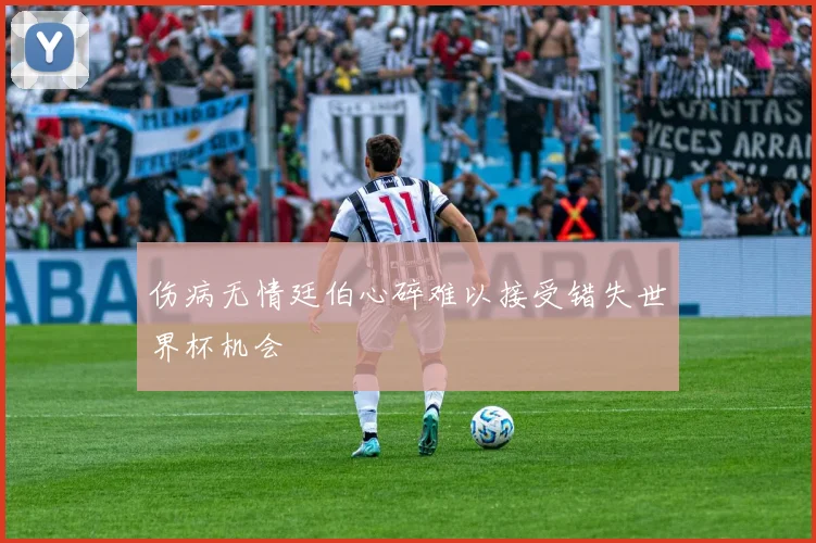 伤病无情廷伯心碎难以接受错失世界杯机会