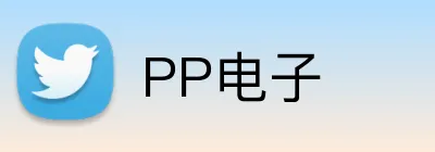 PP电子 logo